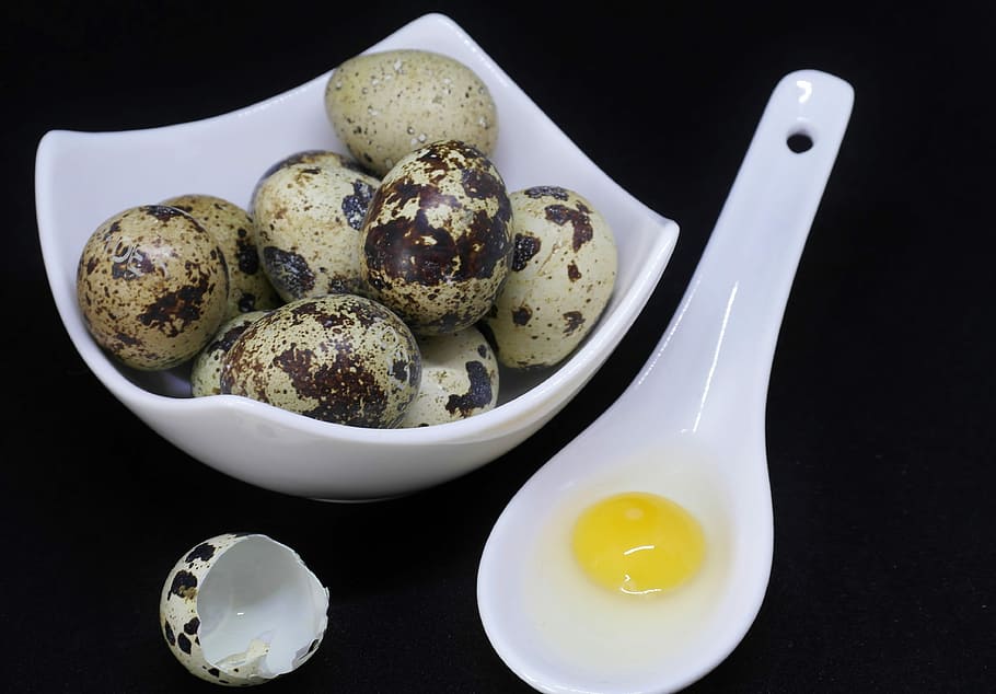 ous de guatlla, blanc, ceràmica, bol, al costat, cullera, rovell d'ou, ou, shell, fregit, cuit, menjar, proteïna, rovell, esmorzar, gourmet, cuinar, Pasqua, tancar, saludable, cuina, colesterol, menjar i beguda, fons negre, a l'interior, alimentació saludable, tir de l'estudi, llest per menjar, cap gent, primer pla, benestar, frescor, natura morta, vista d’angle alt, vegetals, temptació, vaixella, 4K
