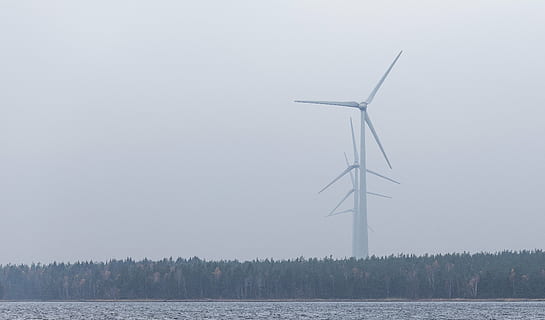 white, wind turbines, forming, line, green, trees, daytime, landscape, photography, behind, windmills, wind, windmill, plant, nature, sea, water, horizon, sky, wind turbine, wind power, environmental conservation, alternative energy, fuel and power generation, renewable energy, no people, rural scene, environment, turbine, beauty in nature, electricity, lake, power, day, sustainable resources, outdoors, power in nature, power supply, sailboat, 4K