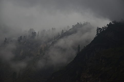 Černá, hora, obklopen, mlha, silueta fotografie, stromy, kopců, život, mimo obrazovku, Příroda, bouřka, les, déšť, mrak - nebe, krajina, scén, zatažený, temný, počasí, nikdo, klid, venku, životní prostředí, přistát, nebe, scenics - příroda, strom, krása v přírodě, pevný, pohoří, rock - objekt, Skála, rostlina, horský vrchol, borovice, jehličnatého stromu, smog, 4K, CC0, veřejná doména, bez autorských práv