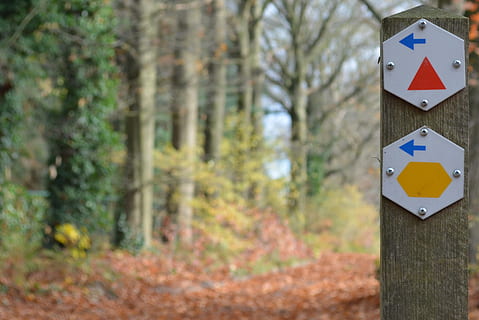 sentier pédestre, flèches, direction, marche, des arbres, randonnée, marche d'automne, comment arriver, signe, la nature, en plein air, arbre, forêt, journée, personne, se concentrer sur le premier plan, plante, la communication, orientation, route, terre, panneau directionnel, panneau de signalisation, l'automne, tronc d'arbre, représentation, tronc, poteau en bois, 2K, CC0, domaine public, libre de droits