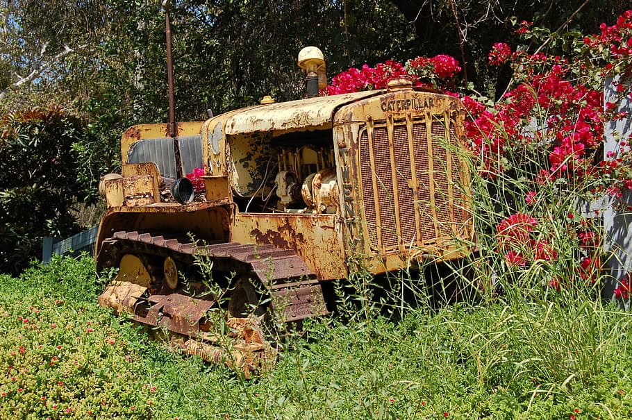 tractor, vell, màquina, rovellat, planta, terra, naturalesa, herba, camp, dia, transport, cap gent, abandonat, arbre, obsoleta, creixement, espatllat, manera de transport, aixafar, declivi, deteriorament, a l'aire lliure, vehicle terrestre, arruïnat, 2K