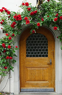 porta, ingresso, finestra, opera d'arte, storicizzato, vetro diamantato, barre di piombo, lanciare, Gottlieben, thurgau, Svizzera, fiore, pianta, all'aperto, arco, legno - materiale, pianta fiorita, Entrata, architettura, struttura costruita, crescita, giorno, nessuno, esterno dell'edificio, chiuso, costruzione, natura, freschezza, rosso, vaso di fiori, 5K, CC0, dominio pubblico, privo di copyright