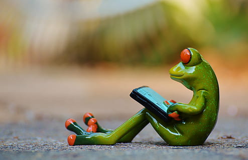 Makrofotografie, Grün, Frosch, Computer, entspannt, Zahl, lustig, sich ausruhen, Entspannung, lügen, Tier, Süss, süß, Amphibie, grüne Farbe, Spielzeug, Essen und Trinken, Lebensmittel, Obst, gesundes Essen, Kindheit, Fokus auf den Vordergrund, Gemüse, Pfeffer, Wohlbefinden, Apfel - Frucht, Frische, Kommunikation, Nahansicht, Natur, Tag, Menschen, kabellose Technologie, Snack, Oberflächenniveau, 4K, CC0, gemeinfrei, lizenzfrei