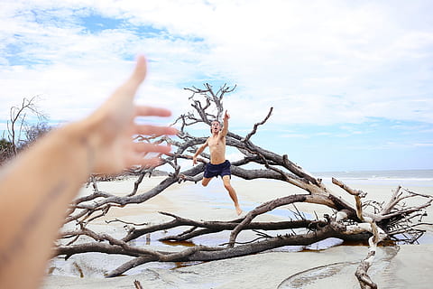 mare, nuvole, rami, mani, uomo, persone, spiaggia, natura, cielo, maschio, alberi, contento, tatuaggio, mano umana, mano, parte del corpo umano, albero, albero nudo, dito, la tranquillità, nuvola - cielo, scenics - natura, dito umano, ramo, bellezza nella natura, pianta, parte del corpo, scena tranquilla, una persona, giorno, terra, all'aperto, pianta morta, Driftwood, 2K, CC0, dominio pubblico, privo di copyright