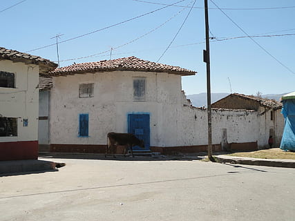 dansa, tradició, personalitzat, peruà, serra, carrer, perú, folklore, disfressa, cultura, colors, arquitectura, estructura construïda, exterior de l'edifici, edifici, cel, llum solar, un animal, naturalesa, dia, temes d'animals, mascotes, cable, animals domèstics, barri residencial, nacional, casa, animal, vertebrats, línia elèctrica, electricitat, cap gent, a l'aire lliure, 2K, CC0, domini públic, lliure de regalies