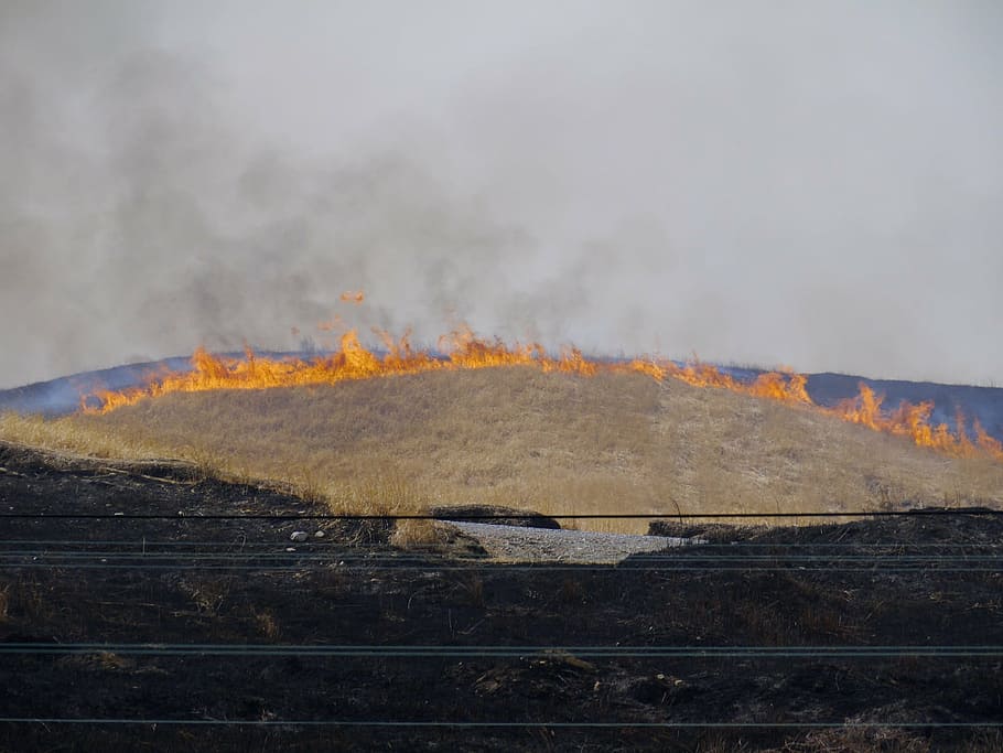 cremada oberta, flama, foc, fum - estructura física, foc - fenomen natural, calor - temperatura, cremant, cap gent, naturalesa, dia, geologia, a l'aire lliure, signe, medi ambient, cel, terra, senyal d'advertència, volcà, paisatge, accidents i desastres, núvol - cel, contaminació de l'aire, cràter volcànic, poder a la natura, Pol · lució, 1080P