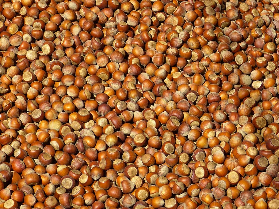 nou, fruits secs, avellanes, shell, marró, mercat, menjar, saborós, nutritiu, menjar i beguda, fons, marc complet, alimentació saludable, gran grup d'objectes, abundància, frescor, cap gent, benestar, primer pla, natura morta, vista d’angle alt, cigró, mongeta, a l'interior, llavor, naturalesa, família de llegums, menjar vegetarià, 4K