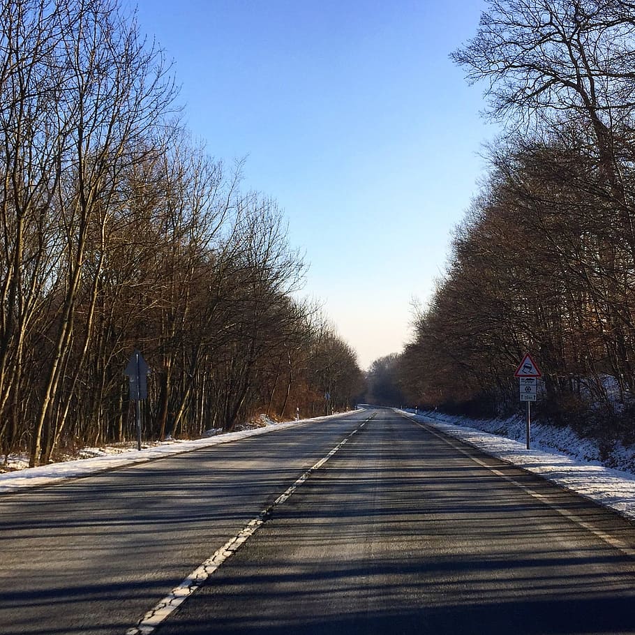 vinter, vej, Skov, natur, snevejr, vinter, vej, sne, træer, transportere, hovedvej, vejforhold, stilhed, mystiker, rime, kold, vejr, rejse, træ, faldende perspektiv, vejen frem, transportmidler, udendørs, retning, plante, himmel, forsvindingspunkt, bare træ, ingen mennesker, dag, skyfri himmel, skilt, mærkning, kold temperatur, vejmærkning, treelined, lang, overflade niveau, 1080P