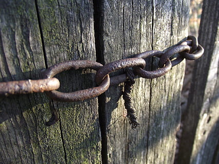 cadeia, árvore, fio, Pranchas, macro, ferrugem, velhice, metal, madeira - material, ao ar livre, ninguém, protecção, porta, oxidado, segurança, fechar-se, dia, velho, Entrada, texturizado, trancar, madeira, luz solar, intemperizado, cerca, robusto, deterioração, 4K, CC0, domínio público, royalty free