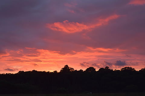 puesta de sol, oscuro, rojo, negro, silueta, cielo, cielo del atardecer, nubes, paisaje del atardecer, nube - cielo, belleza en la naturaleza, tranquilidad, paisajes - naturaleza, escena tranquila, ambiente, árbol, cielo dramático, paisaje, planta, naturaleza, nadie, color naranja, idílico, escena no urbana, paisaje de nubes, al aire libre, cielo romantico, 5K, CC0, dominio público, libre de derechos