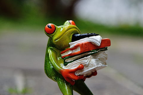 selettivo, foto di messa a fuoco, verde, ceramica, rana, detenzione, figurina di libri, figura, File, pila, file impilati, ufficio, decorazione, animale, divertente, carina, divertimento, dolce, calcolatrice, lavoro d'ufficio, lavoro, stress, rappresentazione animale, concentrarsi sulle conoscenze acquisite, rappresentazione, giocattolo, rosso, temi animali, nessuno, avvicinamento, giorno, verdura, fauna selvatica, all'aperto, anfibio, natura, acqua, cibo e bevande, multicolore, 5K, CC0, dominio pubblico, privo di copyright