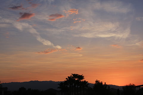 solnedgang, bud, skyer, himlen, las vegas, himmel, Las Vegas, silhuet, scenics, sky - himmel, ingen mennesker, skønhed i naturen, scenics - natur, orange farve, natur, plante, træ, rolig scene, arkitektur, ro, bygning udvendig, bygget struktur, udendørs, dramatisk himmel, lav vinkel visning, idyllisk, romantisk himmel, 4K, CC0, offentligt domæne, royaltyfrie