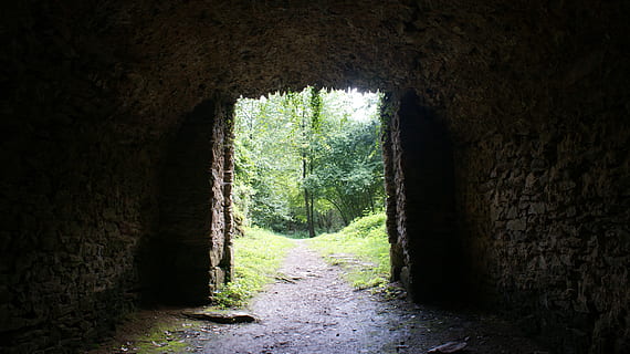 passaggio, parete, foresta, sentiero, buio, ita, natura, vicolo, rosa, giorno, in casa, la strada davanti, nessuno, architettura, struttura costruita, direzione, tunnel, albero, caratteristica della parete, pianta, arco, terra, luce alla fine del tunnel, grotta, vecchio, 4K, CC0, dominio pubblico, privo di copyright