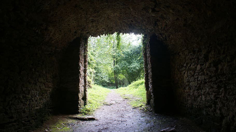passatge, paret, bosc, Camí, fosc, eng, naturalesa, carreró, rosa, dia, a l'interior, el camí a seguir, cap gent, arquitectura, estructura construïda, direcció, túnel, arbre, funció de construcció de parets, planta, arc, terra, llum al final del túnel, cova, vell, 4K