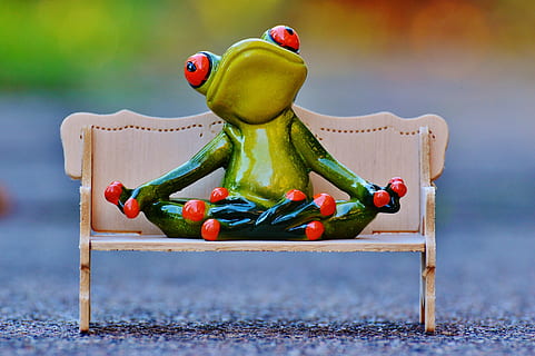 closeup, photo, ceramic, tree frog, sitting, chair, frog, bench, relaxation, rest, funny, cute, figure, couch, concerns, fun, sweet, healthy eating, food and drink, food, vegetable, wood - material, no people, focus on foreground, pepper, wellbeing, fruit, green color, multi colored, freshness, red, creativity, day, representation, craft, animal representation, zucchini, 4K, CC0, public domain, royalty free