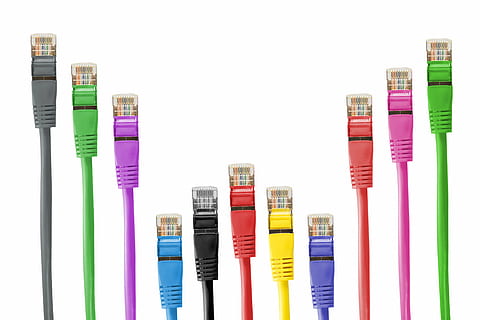 câbles ethernet, câble, pièce, câble patch, rj, rj45, rj-45, réseau, câbles de réseau, ligne, fs, traitement de l'information, lien, prise de courant, macro, lan, connecteur réseau, câble LAN, prise de vue en studio, fond blanc, à l'intérieur, multi couleur, éducation, personne, choix, variation, coupé, couleur rose, espace de copie, groupe d'objets, récipient, fermer, grand groupe d'objets, nature morte, cote à cote, groupe, caoutchouc, violet, 5K, CC0, domaine public, libre de droits