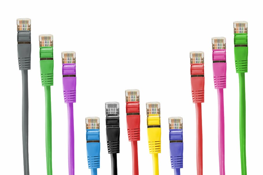 cables ethernet, cable, pegat, cable de connexió, rj, rj45, rj-45, xarxa, cables de xarxa, línia, fs, processament de dades, connexió, endoll, macro, lan, connector de xarxa, cable de lan, tir de l'estudi, fons blanc, a l'interior, multicolor, educació, cap gent, elecció, variació, tallar, color rosa, còpia espai, grup d'objectes, contenidor, primer pla, gran grup d'objectes, natura morta, costat a costat, grup, goma d'esborrar, porpra, 5K
