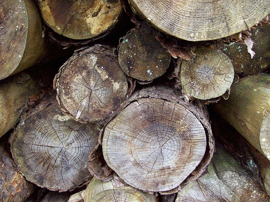Woodstack, registres, logpile, pila, fusta, tronc, tallar, arbre, bosc, silvicultura, llenya, apilats, registre, serrada, combustible, picat, Munt, marc complet, material de fusta, desforestació, fons, indústria de la fusta, gran grup d'objectes, cap gent, textura, primer pla, abundància, forma, generació de combustible i energia, naturalesa, pila de fusta, a l'aire lliure, anell d’arbre, 2K