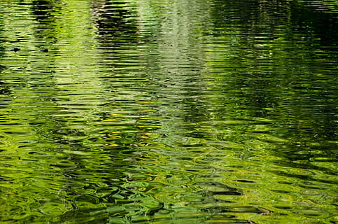 rio con lirios, agua, fondo, modelo, verde, de cerca, elemento, color verde, lago, reflexión, antecedentes, naturaleza, fotograma completo, belleza en la naturaleza, tranquilidad, nadie, ondulado, día, frente al mar, crecimiento, al aire libre, planta, ambiente, escena tranquila, flotando en el agua, pantano, 1080P, CC0, dominio público, libre de derechos