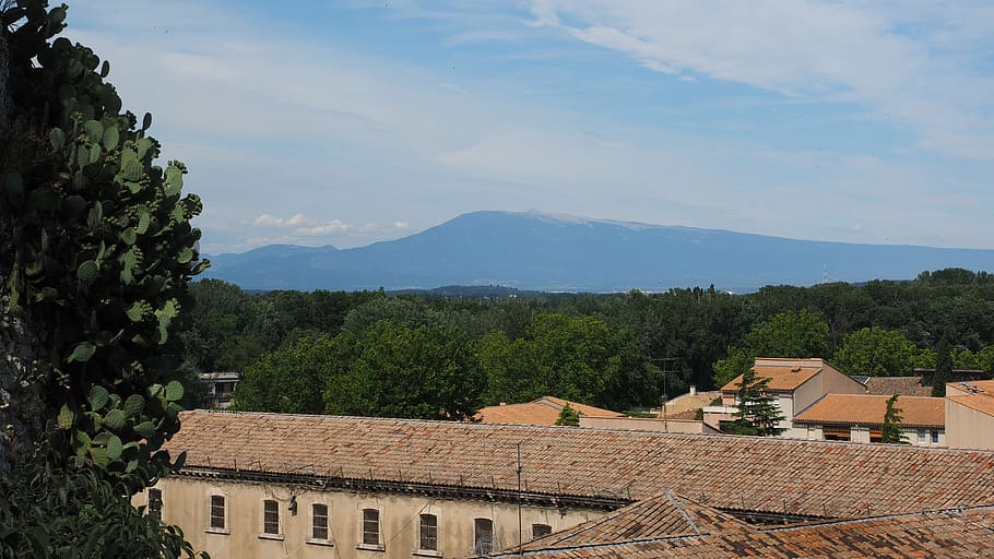 ventoux, muntanya, provence, previsió, vista llunyana, avignon, cobertes, llars, arquitectura, europa, sostre, ciutat, exterior de l'edifici, estructura construïda, arbre, edifici, casa, barri residencial, núvol - cel, naturalesa, planta, vista d’angle alt, cel, cap gent, dia, a l'aire lliure, teula de teulada, escenics - natura, 4K
