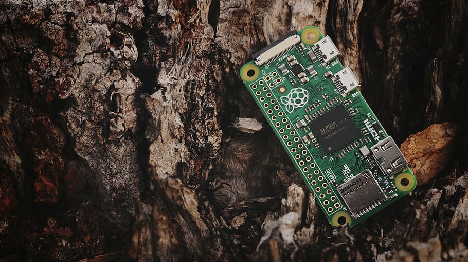 grøn printkort, hindbær pi, pi, elektronik, computer, teknologi, chip, pi nul, uden for, træ, natur, træ-, kredsløbsplade, computerchip, elektronikindustrien, elektrisk komponent, bundkort, træstamme, bagagerum, ingen mennesker, meddelelse, forbindelse, tekstureret, mønster, tæt på, plante, træ - materiale, tekst, grøn farve, udstyr, videnskab, elektrisk udstyr, 5K