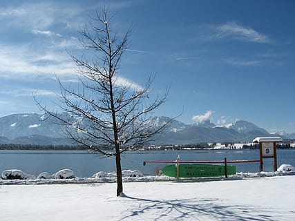 hivern, neu, núvols, cel, blanc, fred, tot, paisatge, nevat, arbre, allgäu, llac forggensee, alpí, panorama, muntanyes, perspectiva, contraforts del, füssen, temperatura de fred, muntanya, bellesa a la natura, naturalesa, arbre nu, escenics - natura, escena tranquil·la, Serra, núvol - cel, dia, planta, tranquil·litat, cap gent, muntanya nevada, congelat, a l'aire lliure, 2K, CC0, domini públic, lliure de regalies