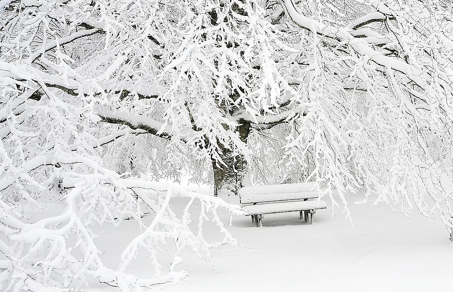 neu, cobert, arbre, banc, hivern, mount, muntanya, panoràmica, naturalesa, paisatge, alpinisme, esports de muntanya, cordillera, bosc, senderisme, descans, carretera de muntanya, arbres, caminar, fred, boira, temperatura de fred, Color blanc, nevar, temps, congelat, vent de neu, floc de neu, planta, cotxe, automòbil, manera de transport, transport, gel, vehicle terrestre, clima extrem, cap gent, bellesa a la natura, branca, neu profunda, 4K