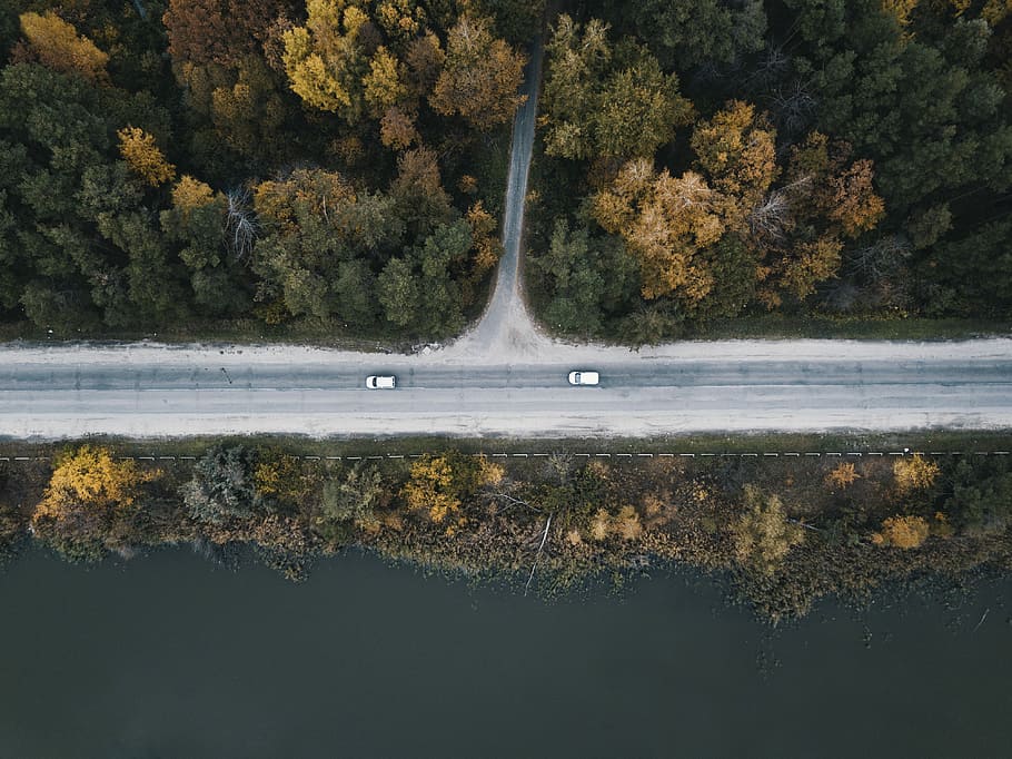 pták, Foto pohled, silnice, zelená, listoval, stromy, letecký, fotografování, vedle, tělo, voda, krajina, les, strom, auto, rostlina, Příroda, scenics - příroda, den, přeprava, nikdo, krása v přírodě, odraz, pohyb, jezero, způsob dopravy, mimoměstské scény, cestovat, podzim, venku, růst, změna, 4K