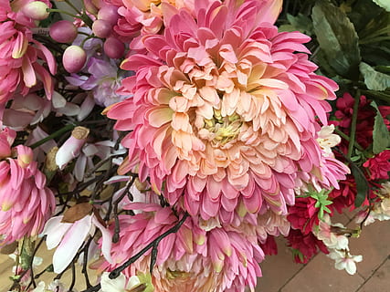 lyserød, blomst, forår, baggrund, smuk, hvid, blomstre, tæt på, blomster, farverig, frisk, Mark, dekoration, flor, sommer, flora, detalje, grøn, rød, plante, dekorative, bryllup, blomstrende, kort, blomstrende plante, sårbarhed, skrøbelighed, lyserød farve, skønhed i naturen, friskhed, kronblad, blomsterhoved, blomsterstand, natur, ingen mennesker, vækst, dahlia, dag, høj vinkel visning, udendørs, blomster arrangement, buket, flok blomster, 4K, CC0, offentligt domæne, royaltyfrie