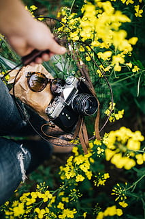 vintage, kamera, bidang, berbunga, pemerkosaan, wanita, musim panas, berkembang, fotografi, juru potret, hobi, memperkosa, rapeseed, musim semi, zenit, gairah, kamera - peralatan fotografi, alam, di luar rumah, orang-orang, laki-laki, satu orang, bunga, perempuan, etnis kaukasia, tema fotografi, gaya hidup, menanam, memotret, tangan manusia, bagian tubuh manusia, orang sungguhan, memegang, peralatan fotografi, kegiatan waktu luang, teknologi, tanah, dewasa, pendudukan, kamera digital, hari, peralatan, tangan, 4K, CC0, domain publik, bebas royalti