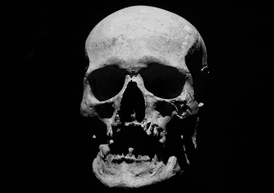 crani humà, crani, cadàver, Halloween, esquelet, anatomia, mandíbula, maxil·lar, mort, dents, os, Dia de la mort, esquelet humà, fons negre, os humà, part del cos humà, a l'interior, primer pla, tir de l'estudi, por, gent, horror, part del cos, fantasmal, natura morta, sol objecte, rostre humà, ominós, 5K