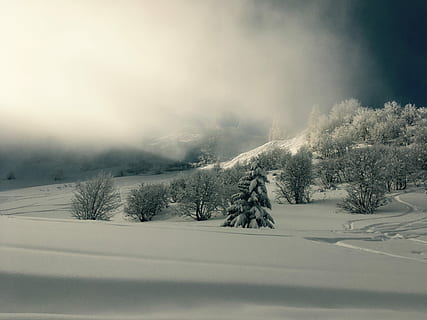 Bäume, bedeckt, Schnee, Berg, Baum, Winter, Spuren, Wolke, Nebel, Natur, kalt, Ski, Neuschnee, immergrün, Dunst, kalte Temperatur, Pflanze, Umgebung, wolke - himmel, ruhige Szene, Szenen - Natur, Landschaft, Ruhe, Land, Wald, Schönheit in der Natur, weiße Farbe, Himmel, keine Leute, Kiefer, schneit, Nadelbaum, 4K, CC0, gemeinfrei, lizenzfrei