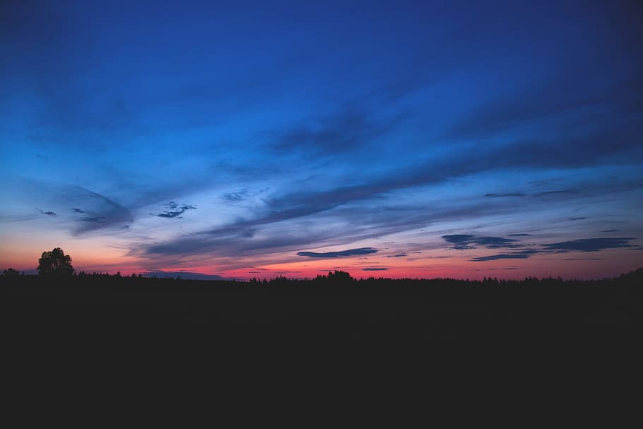 natur, landskab, Skov, træer, himmel, skyer, horisont, skygger, silhuet, gradient, lyserød, lilla, orange, solnedgang, sky - himmel, skønhed i naturen, rolig scene, ro, scenics - natur, miljø, idyllisk, orange farve, ingen mennesker, ikke-urbane scene, udendørs, kopiere plads, dramatisk himmel, blå, jord, 2K