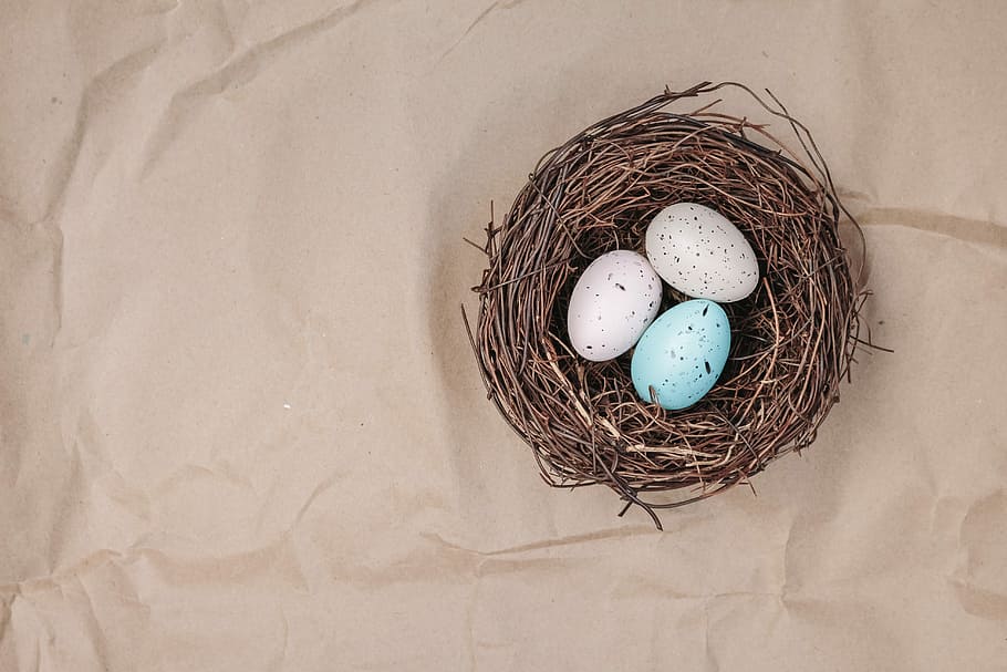 dos, blanc, un, blau, ous, niu, ou, Pasqua, niu de Pasqua, fons, paper de regal, buit, paper, còpia espai, niu d’animals, ous d’animals, cap gent, inicis, fragilitat, nova vida, vulnerabilitat, ocell, vista d’angle alt, niu d'ocells, menjar, estalvis, naturalesa, menjar i beguda, seguretat, festa, palla, 5K