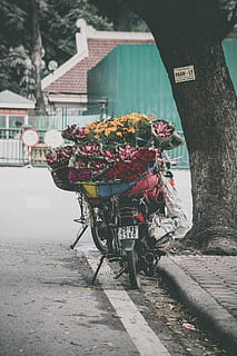 assorted-color petaled flower lot, top, motorcycle, flowers basket, outdoor, red, pink, yellow, bundle, roses, underbone, street, outdoors, urban Scene, flower, transportation, built structure, day, architecture, flowering plant, plant, nature, mode of transportation, land vehicle, building exterior, city, cart, road, building, freshness, no people, tree, flower arrangement, 5K, CC0, public domain, royalty free