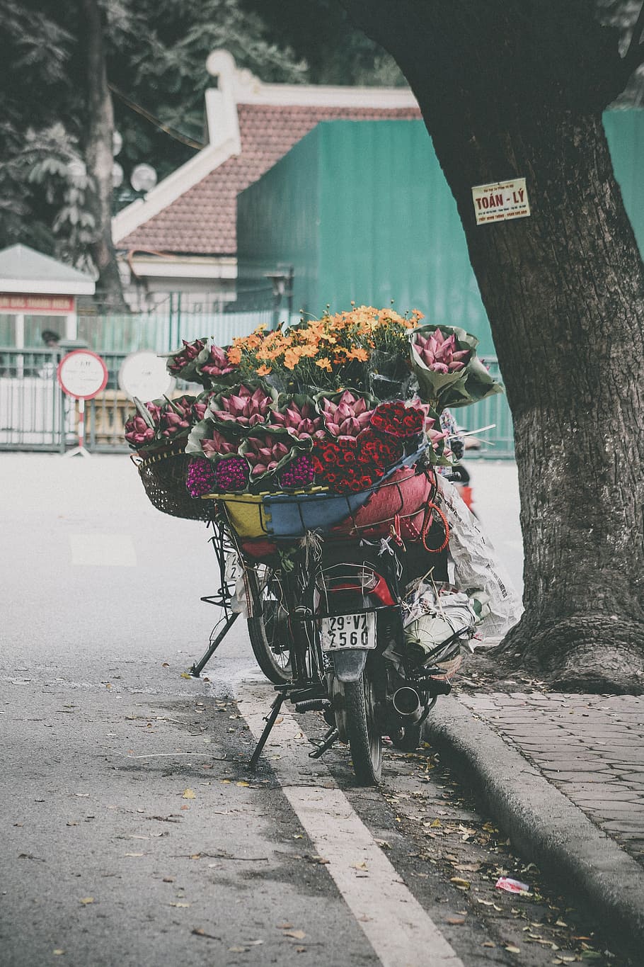 lot de flors petalades de colors assortits, superior, moto, cistella de flors, a l'aire lliure, vermell, rosa, groc, paquet, roses, eix vertebrador, carrer, escena urbana, flor, transport, estructura construïda, dia, arquitectura, planta amb flors, planta, naturalesa, manera de transport, vehicle terrestre, exterior de l'edifici, ciutat, carro, carretera, edifici, frescor, cap gent, arbre, arranjament floral, 5K