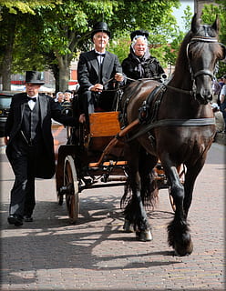 gent, grup, grups, activitats, tradició, mercat, disfresses, folklore, Països Baixos, Holanda, schagen, Frisia occidental, volendam, marken, enkhuizen, entrenadors, carruatges, vagons, cavalls, disfresses regionals, autèntic, nacional, cavall, bestiar, animals domèstics, transport, fauna animal, muntar a cavall, passeig, mascotes, animal de treball, mamífer, carro de cavalls, persones reals, vertebrats, grup de persones, carro, ciutat, homes, cavall dibuixat, herbívors, 1080P, CC0, domini públic, lliure de regalies