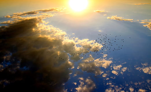 aérien, la photographie, troupeau, des oiseaux, en volant, jour, le coucher du soleil, nuage, Soleil, ciel, rouge, nuage - ciel, lumière du soleil, la nature, thèmes animaux, animal, beauté dans la nature, rayon de soleil, personne, reflet, la faune des animaux, animaux à l'état sauvage, groupe d'animaux, en plein air, grand groupe d'animaux, oiseau, vertébré, vol d'oiseaux, 5K, CC0, domaine public, libre de droits