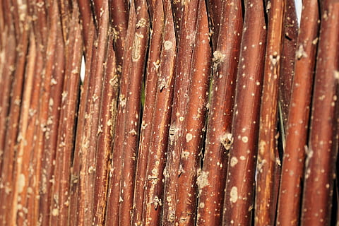 treccia, tessere, intrecciata, struttura, lavoro manuale, canniccio, decorativo, di vimini, materiale naturale, legna, cestino, recinto, parete, malacca, reputato, nessuno, fotogramma intero, cibo e bevande, avvicinamento, Marrone, cibo, messa a fuoco selettiva, Al dettaglio, grande gruppo di oggetti, sfondi, abbondanza, giorno, natura morta, di fila, attività commerciale, legno - materiale, freschezza, cibo asiatico, carne, tentazione, cibo cinese, 4K, CC0, dominio pubblico, privo di copyright