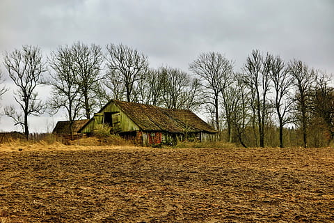 vell, graner, paisatge, primavera, abandonat, estructura construïda, arquitectura, exterior de l'edifici, edifici, casa, arbre, cel, terra, camp, planta, arbre nu, núvol - cel, cap gent, naturalesa, barri residencial, edifici agrícola, escena rural, granja, dia, a l'aire lliure, cabina, 4K, CC0, domini públic, lliure de regalies