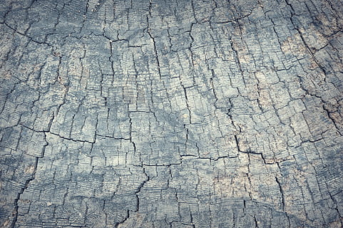 foto, gris, superfície, resum, antiguitat, teló de fons, fons, pissarra, marró, edifici, fusteria, primer pla, color, fosc, decoració, decoratiu, disseny, sec, pis, gra, grunge, fusta dura, casa, interior, fusta, macro, material, natural, naturalesa, roure, vell, textura, patró, marc complet, aspre, esquerdat, cap gent, resistent, vista d’angle alt, dia, espatllat, material de fusta, a l'aire lliure, sòls, efecte texturat, escorça, 4K, CC0, domini públic, lliure de regalies