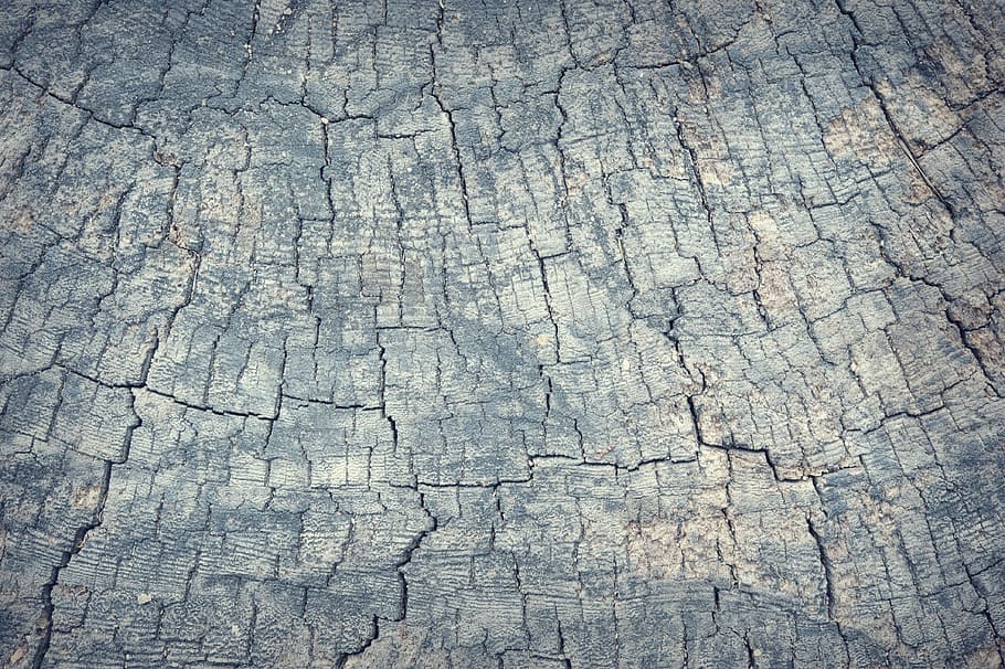 foto, gris, superfície, resum, antiguitat, teló de fons, fons, pissarra, marró, edifici, fusteria, primer pla, color, fosc, decoració, decoratiu, disseny, sec, pis, gra, grunge, fusta dura, casa, interior, fusta, macro, material, natural, naturalesa, roure, vell, textura, patró, marc complet, aspre, esquerdat, cap gent, resistent, vista d’angle alt, dia, espatllat, material de fusta, a l'aire lliure, sòls, efecte texturat, escorça, 4K