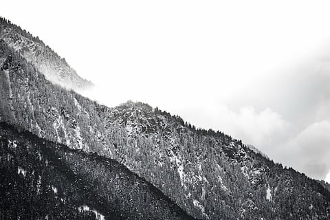bjerggråskala fotografi, gråtoner, fotografering, bjerg, dagtimerne, vinter, sne, træer, Skov, bakker, bjerge, sort og hvid, landskab, natur, udendørs, ingen mennesker, dag, himmel, tæt på, friskhed, skønhed i naturen, ro, scenics - natur, rolig scene, ikke-urbane scene, lav vinkel visning, kold temperatur, miljø, plante, træ, bjergkæde, bjergtop, snedækket bjerg, flydende vand, 2K, CC0, offentligt domæne, royaltyfrie