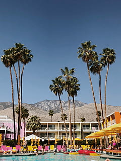 strand, bjergkæde, Palme træ, pool, ven, sjovt, forår, farve, festival, Hotel, slap af, musik, sommer, svømme, pool side, poolen, pool fest, håndflade, Palmfjeder, saguaro, tropisk klima, træ, himmel, plante, natur, dag, skyfri himmel, træstamme, arkitektur, vækst, transportmidler, gruppe af mennesker, bagagerum, bygget struktur, transportform, udendørs, tilfældige mennesker, by, jord, kokos palme, 4K, CC0, offentligt domæne, royaltyfrie