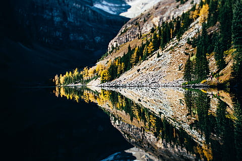 corpo, acqua, accanto, montagna, fotografia speculare, foresta, riflessione, lago, ancora, scenics - natura, bellezza nella natura, natura, scena tranquilla, la tranquillità, nessuno, destinazioni di viaggio, giorno, scena non urbana, lungomare, all'aperto, cielo, idilliaco, simmetria, architettura, lago di riflessione, 4K, CC0, dominio pubblico, privo di copyright