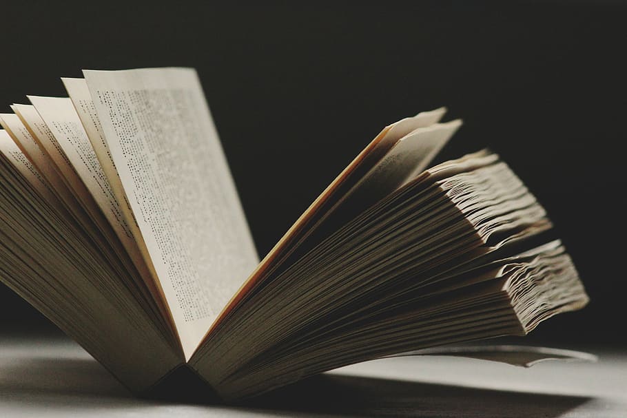 öppnade boken, selektiv, fokusbild, öppnad, bok, läsa, sida, öppna, läsning, offentliggörande, utbildning, papper, inomhus, litteratur, studio skott, inlärning, visdom, inget folk, närbild, fortfarande liv, stack, gammal, historia, stor grupp av objekt, enda objekt, inbunden bok, svart bakgrund, antik, 5K