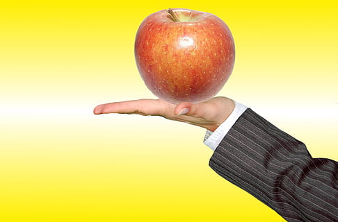 hånd, æble, holde, frugt, vitaminer, velsigne dig, sød, æble - frugt, mad og drikke, menneskelig hånd, menneskelig kropsdel, mad, sund kost, bedrift, studio skud, en person, rød, herrer, farvet baggrund, velvære, friskhed, kopiere plads, tæt på, forretning, menneskelige arm, menneskelig lem, 1080P, CC0, offentligt domæne, royaltyfrie