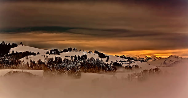 floresta, coberto, neve, foto, montanha glaciar, verde, arvores, dourado, hora, geleira, montanha, Hora dourada, por do sol, inverno, natureza, panorama, scenics, céu, nascer do sol - amanhecer, crepúsculo, ao ar livre, manhã, luz solar, panorâmica, alvorecer, nuvem - céu, Colina, árvore, grande grupo de animais, animais em estado selvagem, temas animais, gnu, animais selvagens, beleza na natureza, scenics - natureza, cena tranquila, tranquilidade, plantar, ninguém, meio Ambiente, idílico, cena não urbana, terra, temperatura fria, 5K, CC0, domínio público, royalty free