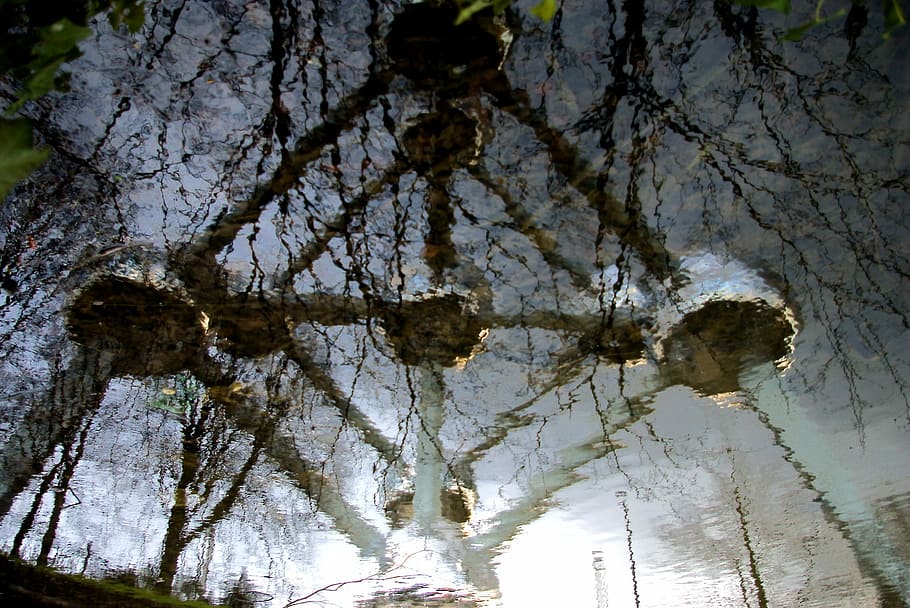 atomium, arquitectura, reflexió, cap gent, arbre, vista d’angle baix, naturalesa, dia, cel, aigua, planta, tranquil·litat, a l'aire lliure, bellesa a la natura, creixement, bassal, sòlid, llac, davant del mar, rock, tronc de l'arbre, 1080P