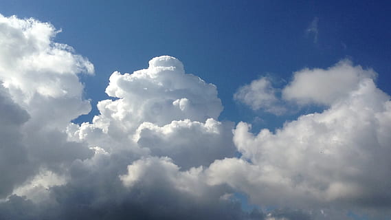 himmel, skyer, glomerulus, Sky, natur, blå himmel, hvid, landskab, sky - himmel, baggrunde, skønhed i naturen, kun himmel, cloudscape, blå, fluffy, ingen mennesker, hvid farve, idyllisk, sollys, ro, blødhed, scenics - natur, udendørs, dag, miljø, lyse, vind, meteorologi, 1080P, CC0, offentligt domæne, royaltyfrie